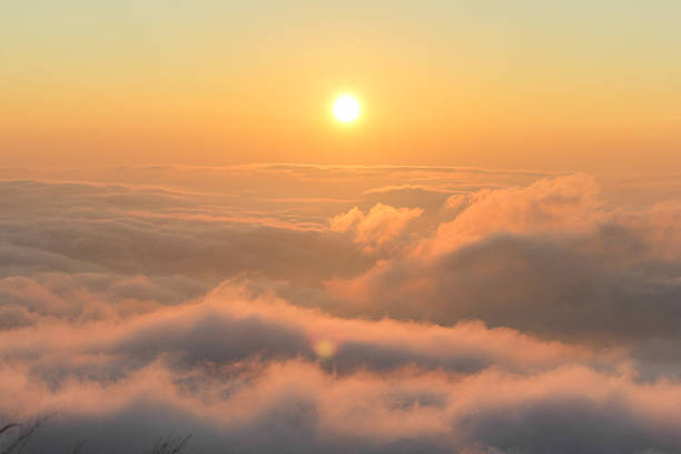 istock Phu chi fa in Chiangrai, Thailand 505303636