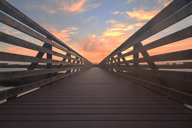 istock Wooden Boardwalk at sunset at Bolsa Chica 505303956