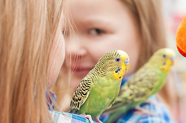 istock Baby girl with budgie 505304169