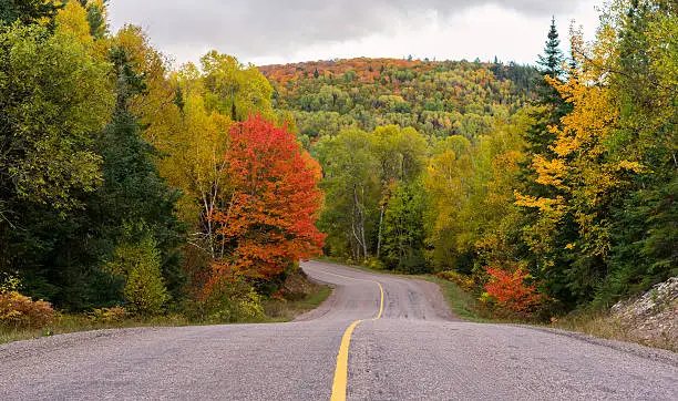 A winding road in Northern Ontario with fall colors