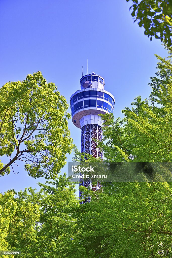 ginkgo verde fresco y tower - Foto de stock de Asia del Este libre de derechos