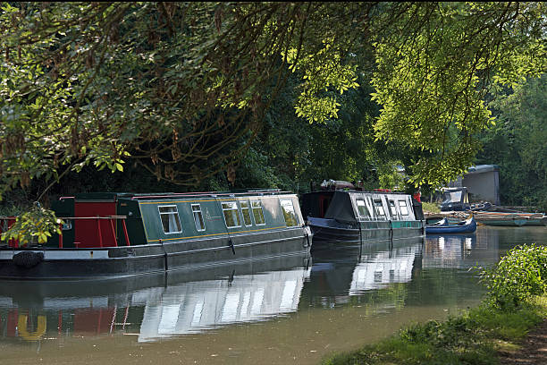 Canal boats moored on the Basingstoke canal Narrow boats moored on the Basingstoke Canal in Hampshire, England, UK.  One moored narrow boat offers disabled access. basingstoke photos stock pictures, royalty-free photos & images