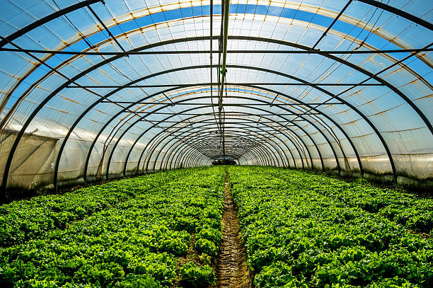 Monarch Commercial Greenhouse Utah