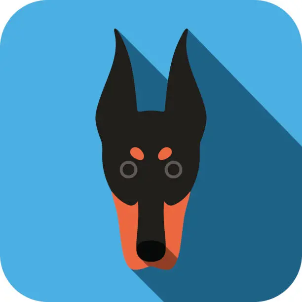 Vector illustration of Doberman Pinscher dog face flat icon