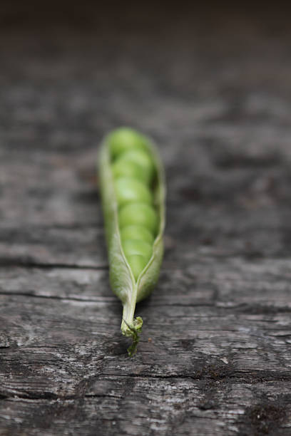 Pea pod
