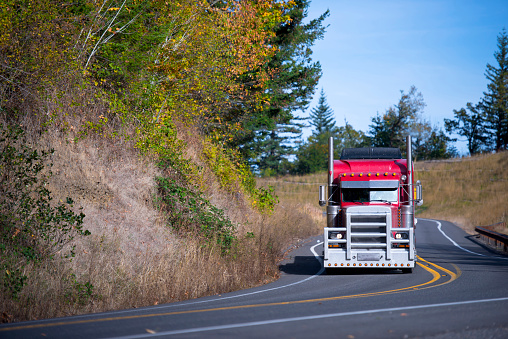 Powerful bright stylish popular professional red big rig semi truck with a protective grille from running out into the road animal, semi truck goes on a winding road with devided yellow lines and autumn trees.