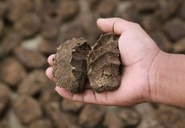 Cow dung as bio fuel Hand holding cow dung as bio fuel cow dung stock pictures, royalty-free photos & images