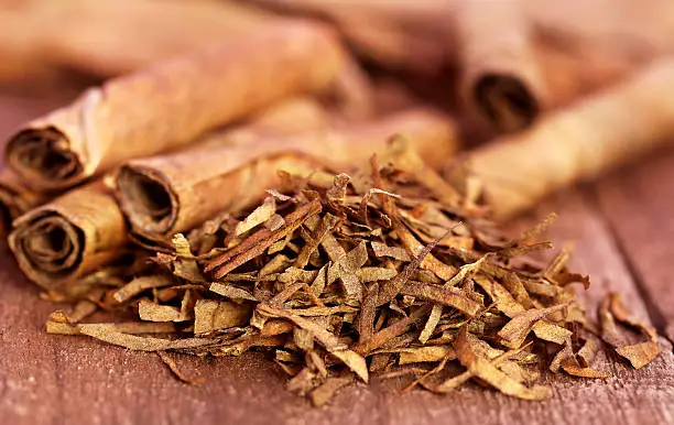 Photo of Dry tobacco leaves