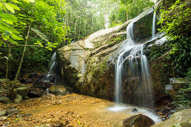 istock Beautiful waterfall in Borneo jungle 505334424