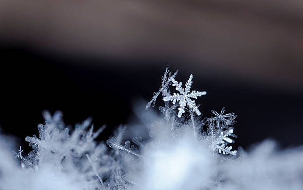 istock natural snowflakes on snow 505336120