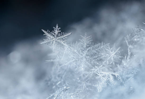 istock natural snowflakes on snow 505336374