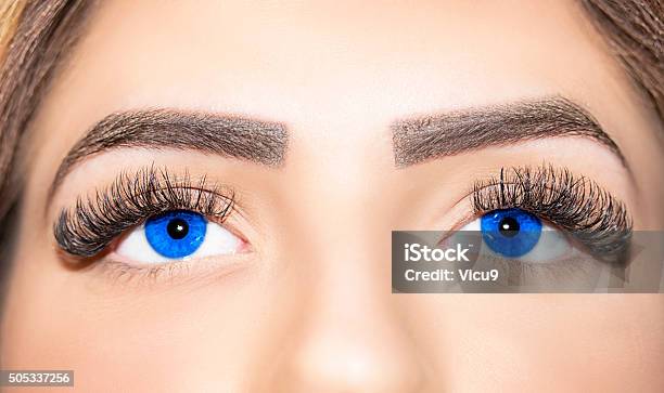 Eyelashes Adult Blue Eyelashes Adult Blue