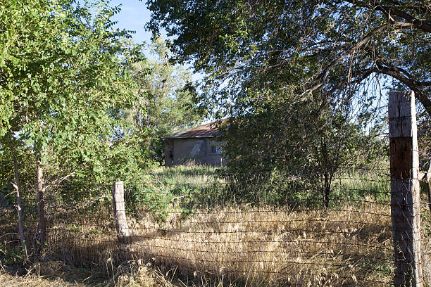 istock Old adobe house with tin roof through fence 505337320