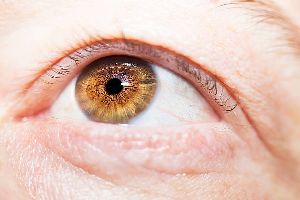 istock Image of man's brown eye close up. 505339600