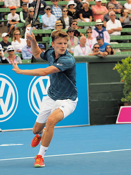 kuvapankkikuvat ja rojaltivapaat kuvat aiheesta belgian david goffin juoksee etukäden - international tennis federation