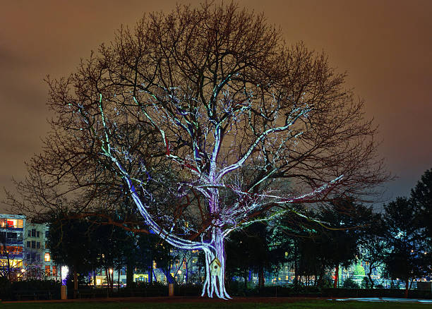 istock Illuminated in the night city. 505340514