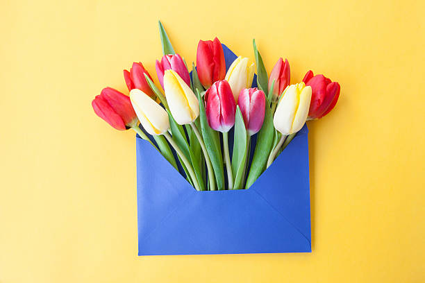 istock Colorful flowers in envelope 505342224