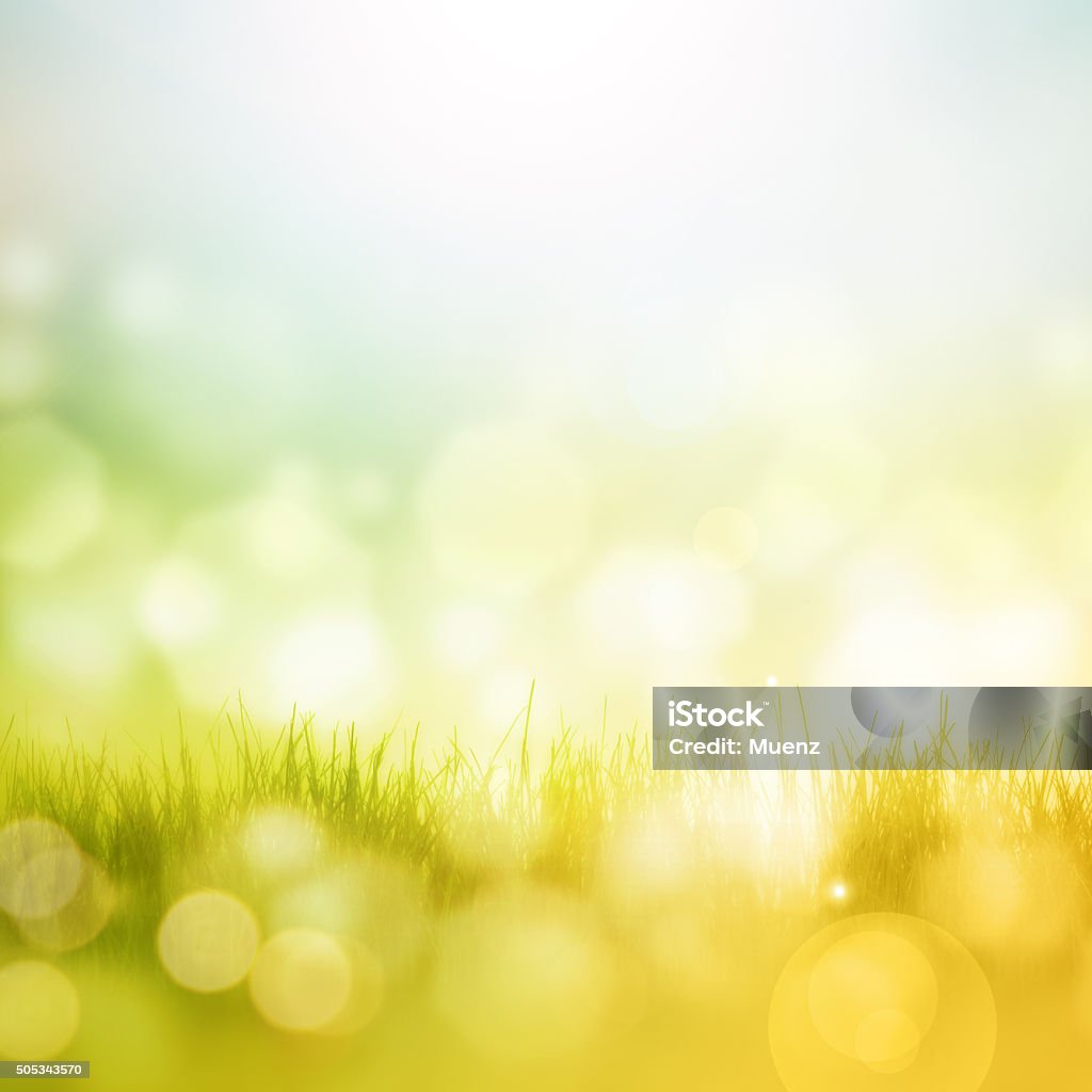 Bright Springy Background Spring Background Stock Photo - Download Image Now - Defocused ...