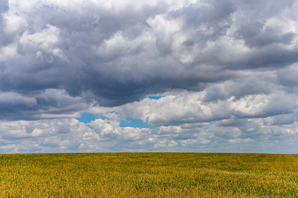 istock Beautiful field and bright blue sky with white clouds 505365104