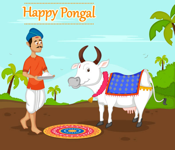 Happy Pongal celebration Happy Pongal celebration with farmer offering rice to cow in vector happy pongal pics stock illustrations