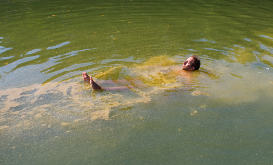 Man swimming in algal bloom