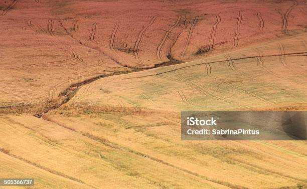 Hügellandschaft Crete Senesi Hills Nahaufnahme In Val Dorcia Toskana Stockfoto und mehr Bilder von Anhöhe