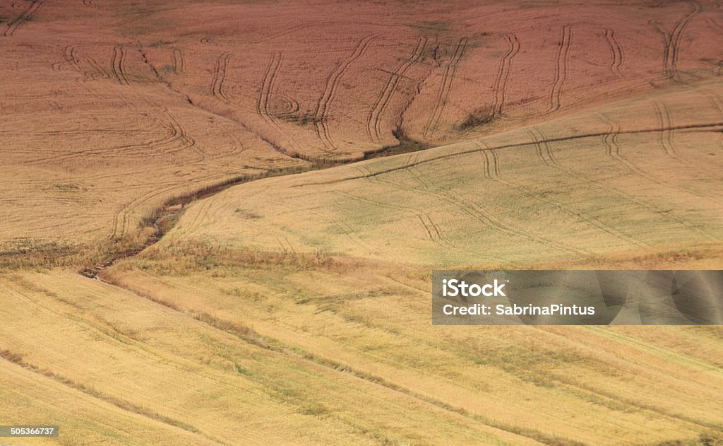 Creta senesi, colinas close-up em Val D'Orcia, Toscana. - Foto de stock de Agricultura royalty-free