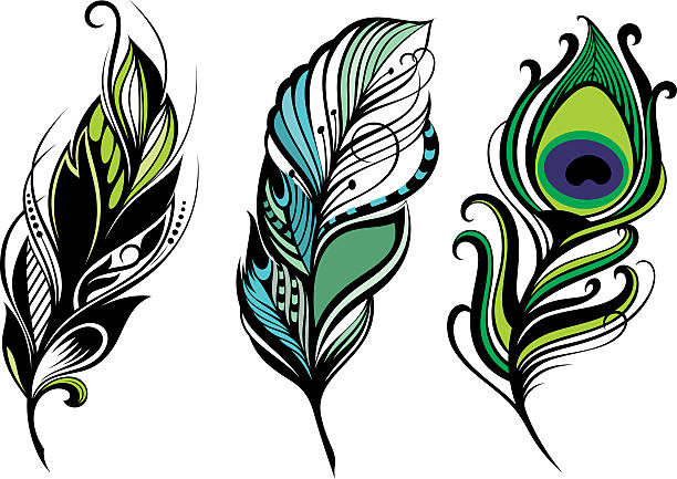Set Of Feathers On A White Background Stock Illustration - Download Image Now - Peacock Feather, Peacock, Vector - iStock Set Of Feathers On A White Background Stock Illustration - Download Image Now - Peacock Feather, Peacock, Vector - iStock