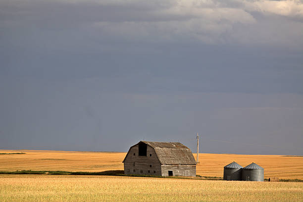 istock Stom clouds behind some Sakatchewan farm buildings 505371069