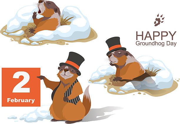 ilustraciones, imágenes clip art, dibujos animados e iconos de stock de feliz groundhog día. marmota retención de febrero de 2 - groundhog day