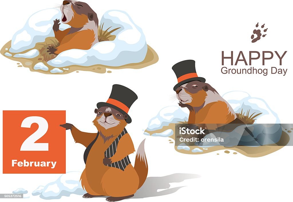 Happy Groundhog Day. Marmot holding February 2 - Royalty-free Groundhog Day - Tatil Vector Art