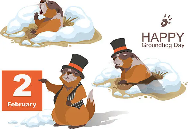 Vector illustration of Happy Groundhog Day. Marmot holding February 2