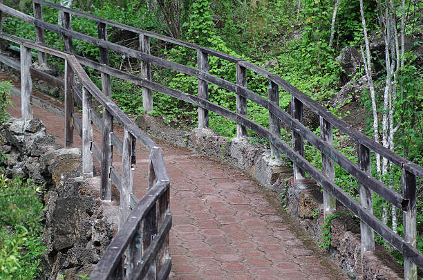 istock Patterned stone path for tourists with wooden railing sorrounded by 505374666