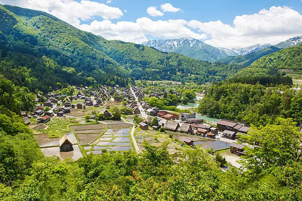 Historic Japanese village Shirakawa-go located in Gifu Prefecture. Traditional village showcasing a building style known as gassho-zukuri. one of Japan's UNESCO World Heritage Sites in summer.