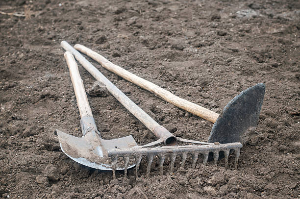 istock Tools of the garden 505376970