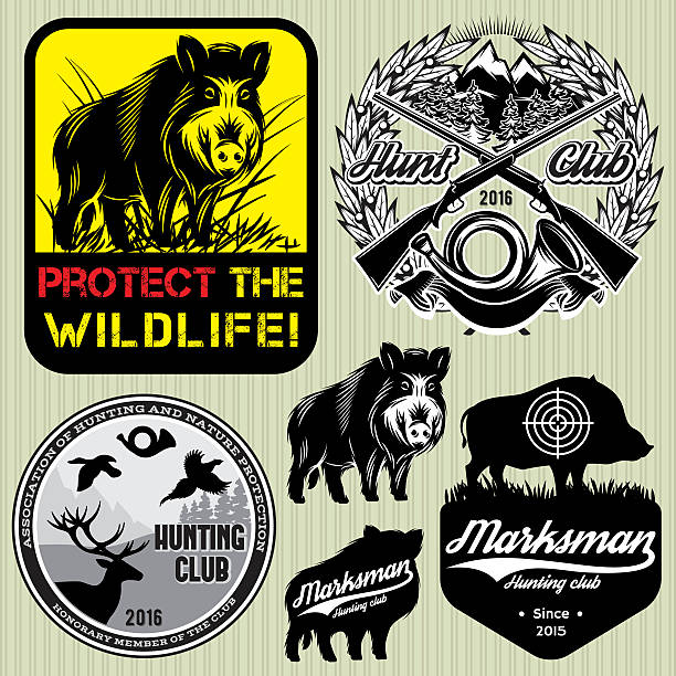 ustaw wzór z dzika myśliwska kluby - świnia domowa stock illustrations