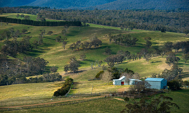istock Oberon, Central tablelands nsw Australia 505377642