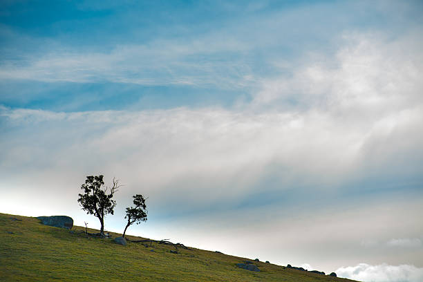 istock Oberon, Central tablelands nsw Australia 505377938