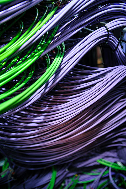 グリーン、紫色のワイヤのネットワークサーバー - cable network server network connection plug green ストックフォトと画像