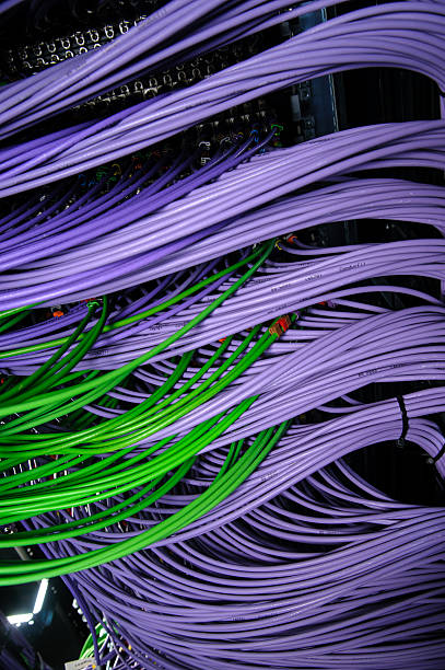 グリーン、紫色のワイヤのネットワークサーバー - cable network server network connection plug green ストックフォトと画像