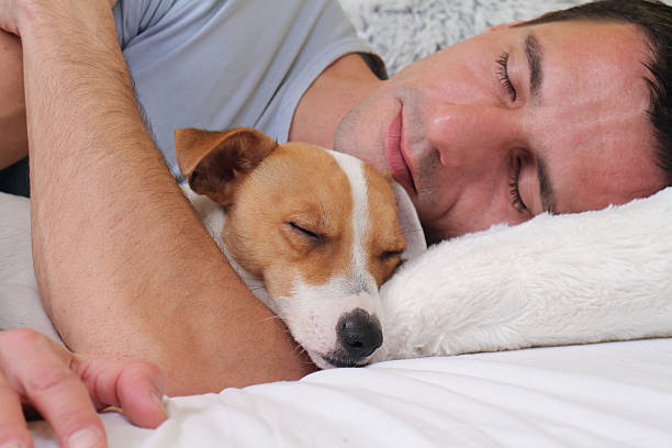 istock Sleeping dog and owner. Man and dog sleeping together 505381062