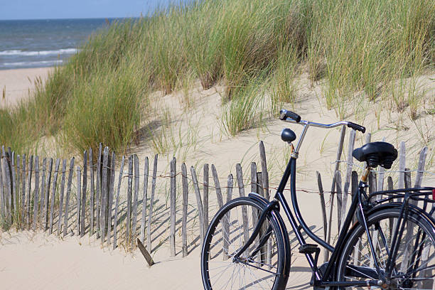 istock bike by the sea 505393913