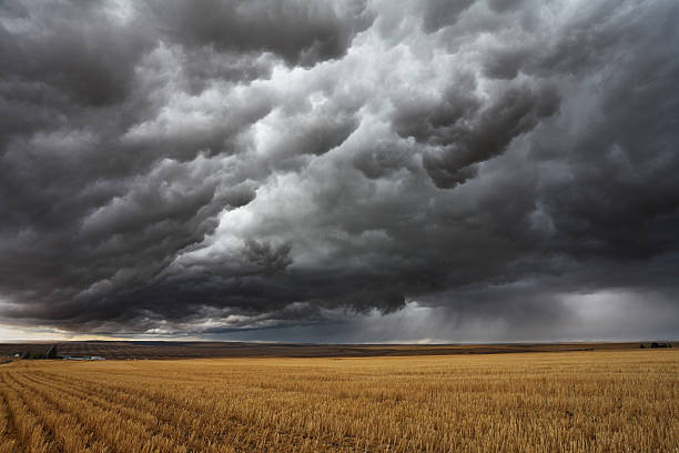 Thunderstorm stock photo