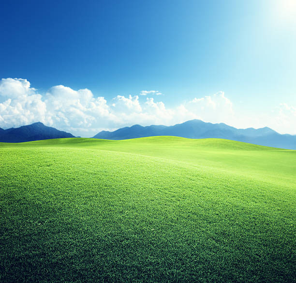 istock green field and mountains 505396993