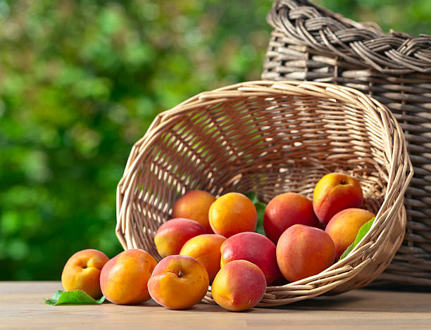 istock basket with ripe apricots 505398180