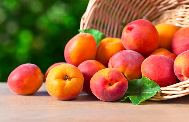 istock basket with ripe apricots 505398248