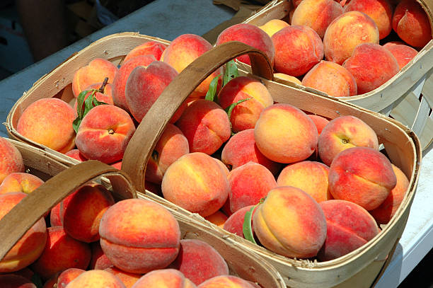 Fresh peaches in a basket Farm-fresh peaches in a basket at a farmer's market bruised fruit stock pictures, royalty-free photos & images
