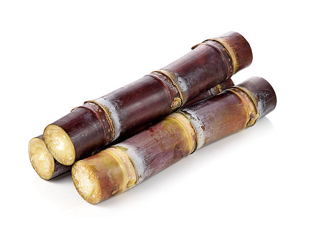 istock sugarcane isolated on white backgroun 505398912