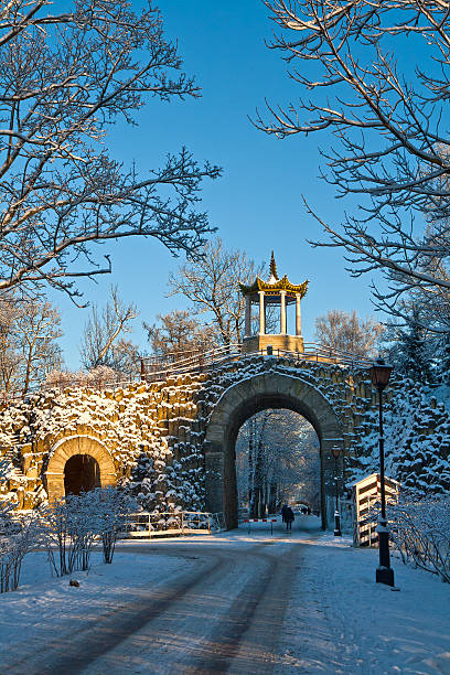 istock Winter day in the Park 505399045