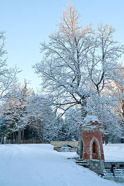 istock Winter in the Catherine Park 505399155